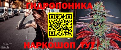 прущие грибы Славянск-на-Кубани
