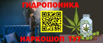 прущие грибы Славянск-на-Кубани