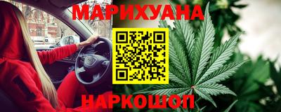 прущие грибы Славянск-на-Кубани