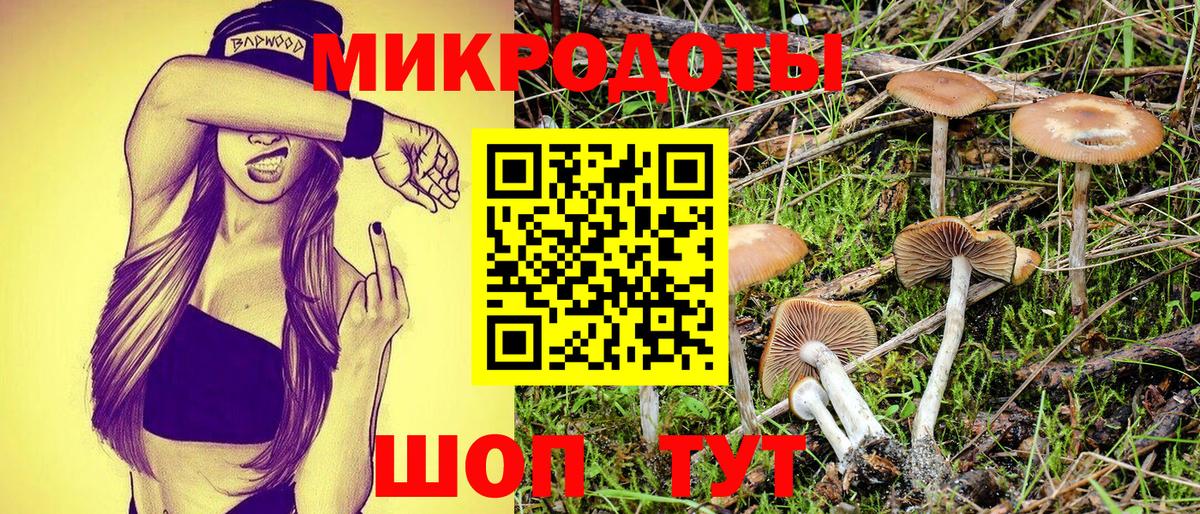 Галлюциногенные грибы прущие грибы Новоалександровск